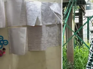 Keren! Remaja Ini Tetap Rajin Belajar Meski Sambil Jualan Samosa Keren! Remaja Ini Tetap Rajin Belajar Meski Sambil Jualan Samosa