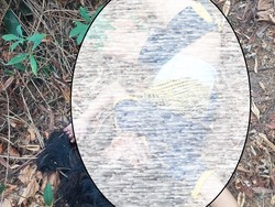 Polisi Selidiki Kasus Remaja Putri Ditemukan Tewas di Kuburan Cina Palembang