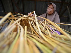 Melihat Pembuatan Tas Anyaman Berbahan Daun Linsiang di Sumbar Melihat Pembuatan Tas Anyaman Berbahan Daun Linsiang di Sumbar