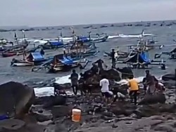 Heboh Ikan Berlompatan hingga Terdampar di Tepi Pantai Selatan Cianjur