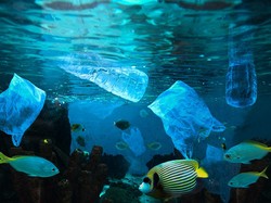 Bisakah Semua Plastik Diangkut dari Lautan? Ternyata...