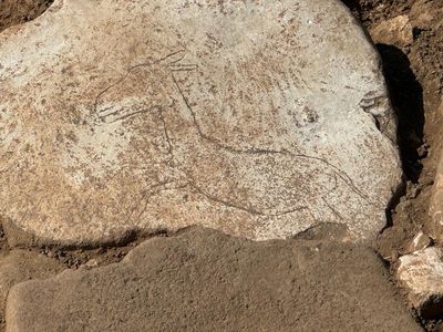 Batu Berukir Keledai Ditemukan di Situs Berusia 12.000 Tahun di Turki