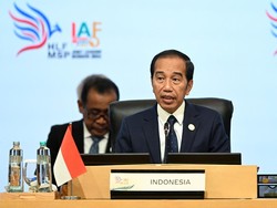 Jokowi Pamer Kerja Sama Bisnis dengan Afrika Capai Rp 54,3 T di IAF Bali