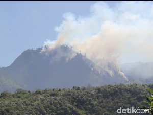 Hutan Kawasan Bromo di Lumajang Kebakaran