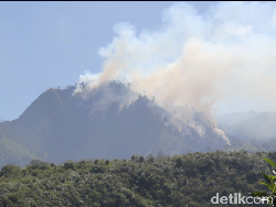 Hutan Kawasan Bromo di Lumajang Kebakaran