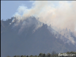 10 Hektare Hutan di Bromo Tengger Semeru Lumajang Terbakar Hebat