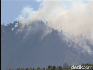 10 Hektare Hutan di Bromo Tengger Semeru Lumajang Terbakar Hebat 10 Hektare Hutan di Bromo Tengger Semeru Lumajang Terbakar Hebat