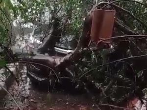 Mobil di Rumah Dinas Camat Leuwiliang Tertimpa Pohon Saat Angin Kencang