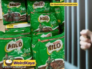 Pasutri Nekat Curi 19 Bungkus Milo, Diganjar Hukuman Penjara Pasutri Nekat Curi 19 Bungkus Milo, Diganjar Hukuman Penjara