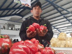 Asa Suryana Raup Cuan Jualan Paprika di Pasar Sayur dan Buah Lembang