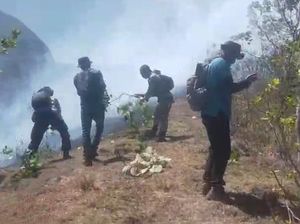 Luas Kebakaran Bukit Anak Dara Mencapai 95 Ha, Petugas Kesulitan Padamkan Api Luas Kebakaran Bukit Anak Dara Mencapai 95 Ha, Petugas Kesulitan Padamkan Api
