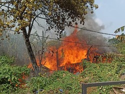 Bakaran Sampah di Jakbar Diduga Jadi Penyebab 37 Kambing Terpanggang