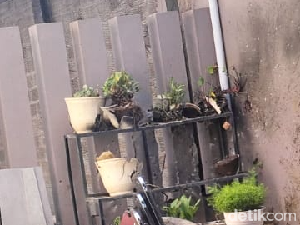 Kondisi Rumah Cagub Aceh Bustami Hamzah Usai Dilempar Granat Kondisi Rumah Cagub Aceh Bustami Hamzah Usai Dilempar Granat
