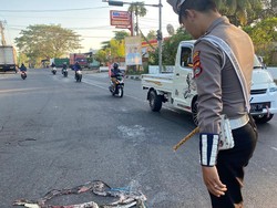 Ular Piton Melintang di Jalan Kagetkan Warga Gerung, Ternyata...