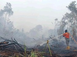 Karhutla di Muara Enim Sudah Lima Hari, Luas Terbakar 25 Hektare