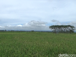 Gunung Semeru Erupsi Pagi Ini, Visual Letusan Tak Teramati Gunung Semeru Erupsi Pagi Ini, Visual Letusan Tak Teramati