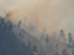 Kawasan Hutan Taman Nasional Bromo Terbakar, Pemadaman Masih Dilakukan