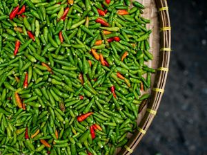 Harga Sembako Jogja Hari Ini 3 September 2024: 4 Jenis Cabai Turun Lagi! Harga Sembako Jogja Hari Ini 3 September 2024: 4 Jenis Cabai Turun Lagi!