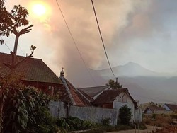 Kebakaran Hutan Terjadi di Pegunungan Argopuro Probolinggo