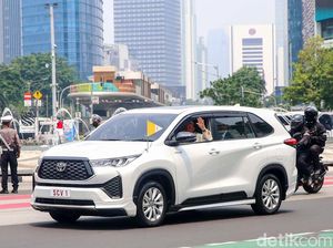 Momen Tak Terlupakan Paus di Indonesia: Lambaian Tangan dari Kursi Depan Momen Tak Terlupakan Paus di Indonesia: Lambaian Tangan dari Kursi Depan