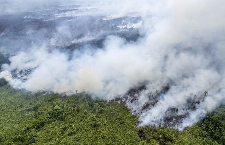 Hari Ke-10 Pemadaman Kebakaran Lahan Gambut di Riau