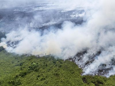 Penampakan dari Udara Kebakaran Hutan dan Lahan di Muaro Jambi