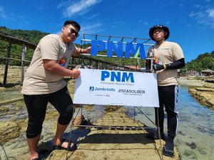 PNM Peduli Tanam Ribuan Pohon Mangrove-Terumbu Karang di Kalimantan PNM Peduli Tanam Ribuan Pohon Mangrove-Terumbu Karang di Kalimantan