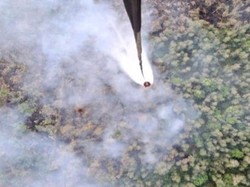 Karhutla di Muara Enim Meluas, Kini 45 Hektare Sudah Hangus Terbakar
