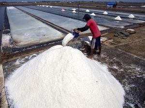 Bangun Sentra Garam Industri di Rote, KKP Siapkan Anggaran Rp 750 M Bangun Sentra Garam Industri di Rote, KKP Siapkan Anggaran Rp 750 M