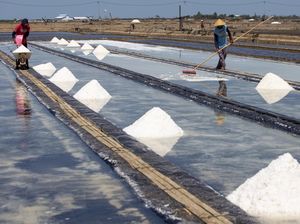 Begini Cara Petani Panen Garam di Indramayu Begini Cara Petani Panen Garam di Indramayu