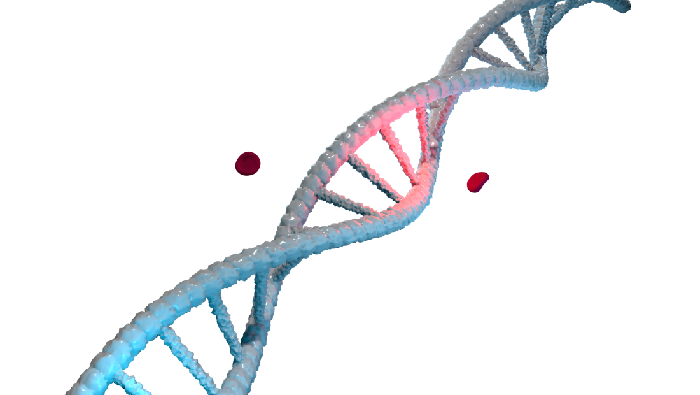 DNA Kita Bisa Menceritakan Apa Saja, Tapi Akuratkah Hasilnya?