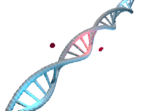Cara Kerja dan Harga Tes DNA: Manfaat, Proses, dan Hasilnya Cara Kerja dan Harga Tes DNA: Manfaat, Proses, dan Hasilnya