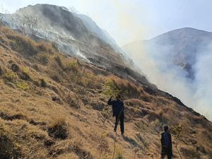 Kebakaran 286 Hektare Lahan di Bukit Anak Dara karena Kelalaian Pendaki Kebakaran 286 Hektare Lahan di Bukit Anak Dara karena Kelalaian Pendaki