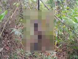 Mayat Pria Ditemukan Tergantung Membusuk di Ogan Ilir