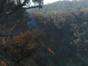 Kawasan Hutan di Gunung Tangkuban Parahu Terbakar Kawasan Hutan di Gunung Tangkuban Parahu Terbakar