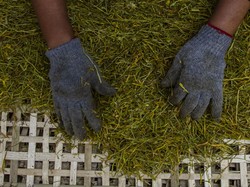 Perokok Diimbau Beralih ke Produk Tembakau Alternatif