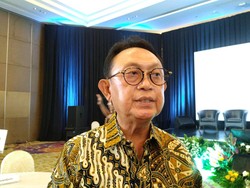 Penjarahan Sawit Masih Marak, Pengusaha Ungkap Penyebabnya