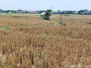 Kekeringan Mengancam Kabupaten Cirebon