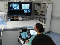 Babi di Hong Kong Jalani Endoskopi Jarak Jauh, Dokternya di Selandia Baru