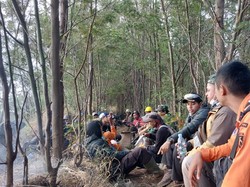 Kebakaran Hutan TNBTS di Lumajang Berhasil Dipadamkan
