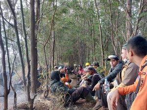 Kebakaran Hutan TNBTS di Lumajang Berhasil Dipadamkan Kebakaran Hutan TNBTS di Lumajang Berhasil Dipadamkan