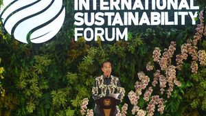 Jokowi-Luhut Dorong Percepatan Energi Bersih
