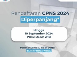 Pendaftaran CPNS 2024 Diperpanjang! Pelamar Diimbau Jangan Lakukan Ini