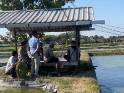 Patroli Rutin Petani Ikan Koi di Blitar Cegah Aksi Pencurian Mesin Aerator