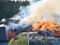 Ratu Sampah Diadili Swedia, Bikin Kejahatan Lingkungan Terbesar