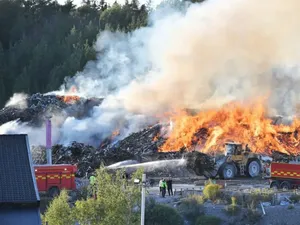 Ratu Sampah Diadili Swedia, Bikin Kejahatan Lingkungan Terbesar Ratu Sampah Diadili Swedia, Bikin Kejahatan Lingkungan Terbesar