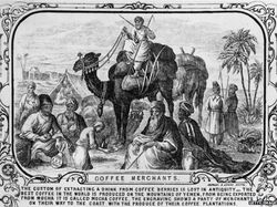 Sejarah Perjalanan Kopi yang Berawal dari Minuman Para Sufi