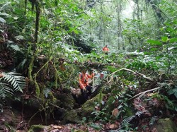 Pencarian Remaja Prancis Hilang di Gunung Batukaru Terkendala Cuaca