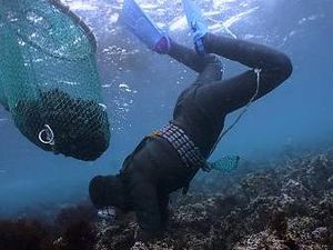 Ilmuwan Ungkap Rahasia Haenyeo di Korsel Kuat Menyelam Lama di Dalam Laut Ilmuwan Ungkap Rahasia Haenyeo di Korsel Kuat Menyelam Lama di Dalam Laut