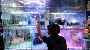 Berburu Produk Keperluan Hewan Peliharaan di Tangerang